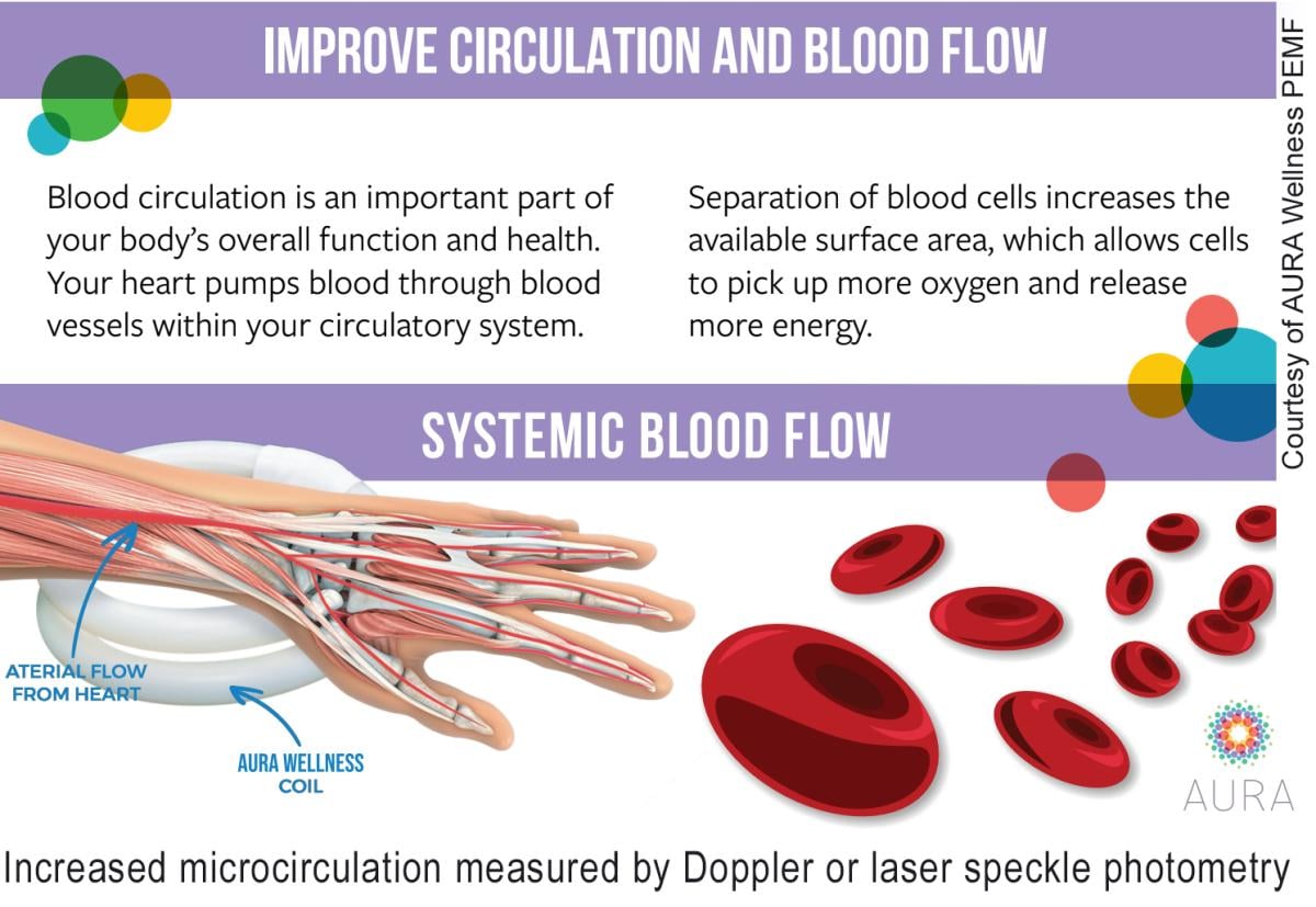 Blood circulation and inflammation